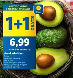 Lidl Awokado HASS oferta