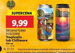 Lidl Browar Piwne Podziemie Tropicalia lub Chillwave oferta