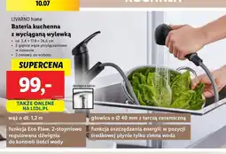 Lidl Bateria kuchenna z wyjmowaną wylewką Livarno Home oferta