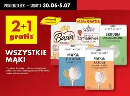 Biedronka Mąka babuni pszenna typ 650 Plony Natury oferta