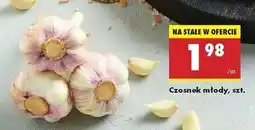 Biedronka Czosnek młody oferta