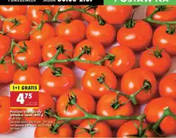 Biedronka Pomidory koktajlowe gałązka oferta