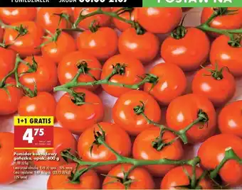 Biedronka Pomidory koktajlowe gałązka oferta