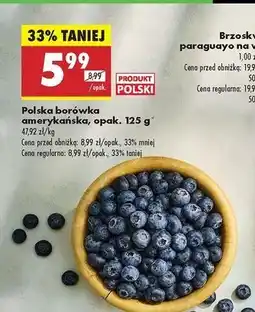 Biedronka Borówka amerykańska oferta
