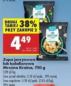 Biedronka Zupa jarzynowa Mroźna Kraina oferta