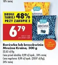 Biedronka Brzoskwinia Mroźna Kraina oferta