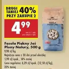 Biedronka Fasola piękny jaś karłowy Plony Natury oferta