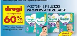 Biedronka Pieluszki dla dzieci extra large Pampers Active Baby oferta