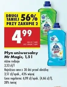 Biedronka Płyn uniwersalny lilia wodna Mr Magic oferta