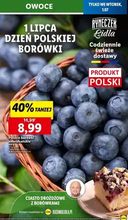 Lidl Borówka amerykańska polska oferta