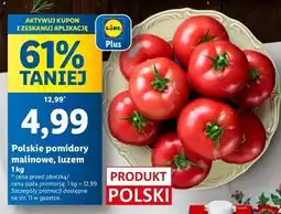 Lidl Pomidory malinowe polska oferta