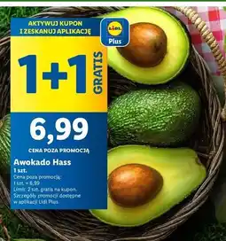Lidl Awokado hass oferta