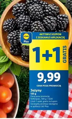 Lidl Jeżyny oferta