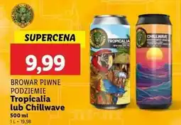 Lidl Piwo chillwave Piwne Podziemie oferta