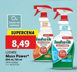 Lidl Odtłuszczacz Ludwik Maxx Power oferta
