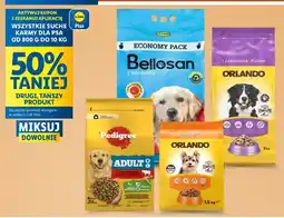 Lidl Karma dla psa małych ras wołowina i warzywa Pedigree Vital oferta