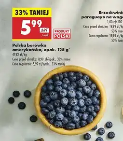 Biedronka Borówka amerykańska Biedronka oferta