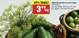 Biedronka Koperek Biedronka oferta