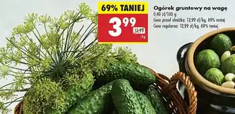Biedronka Koperek Biedronka oferta