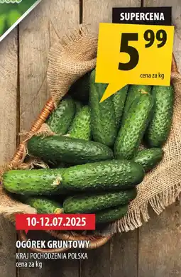 Arhelan Ogórek gruntowy Arhelan oferta
