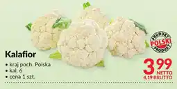 Makro Kalafior Makro oferta