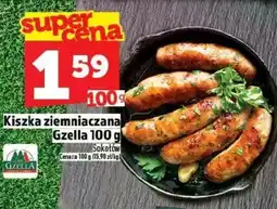 Topaz Kiszka ziemniaczana Gzella oferta
