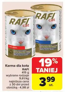 Carrefour Karma dla kota Rafi oferta