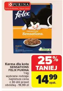 Carrefour Karma dla kota Purina oferta
