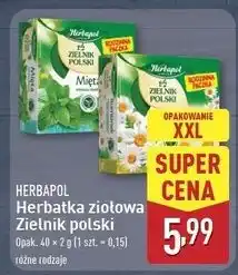 ALDI Herbatka mięta Herbapol Zielnik Polski oferta
