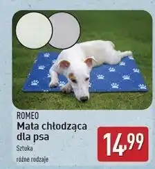 ALDI Mata chłodząca Romeo (Karma) oferta