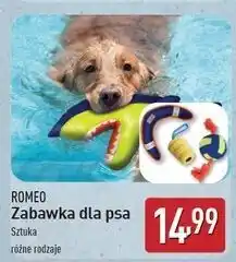 ALDI Zabawka dla psa Romeo (Karma) oferta