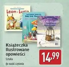 ALDI Mały kruk oferta