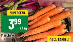 Polomarket Marchew POLOmarket oferta