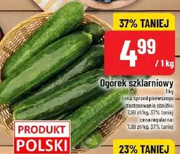 Polomarket Ogórek szklarniowy POLOmarket oferta