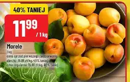 Polomarket Morele POLOmarket oferta