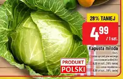 Polomarket Kapusta młoda POLOmarket oferta