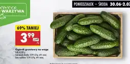 Biedronka Ogórek gruntowy na wagę Biedronka oferta