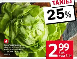 Selgros Sałata masłowa Selgros oferta