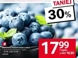 Selgros Borówka amerykańska Selgros oferta