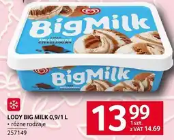 Selgros Lody Big Milk różne rodzaje 0,9/1l oferta