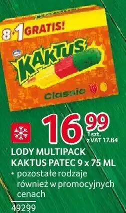 Selgros Lody multipack Kaktus oferta