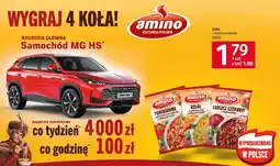 Selgros Zupa Amino różne rodzaje oferta