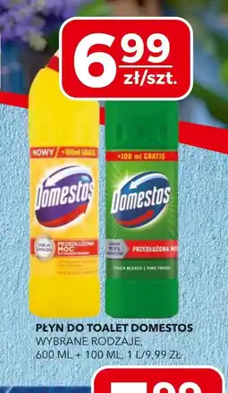 Top Market Płyn do toalet Domestos oferta