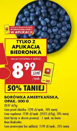 Biedronka Borówka amerykańska Biedronka oferta