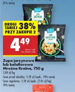 Biedronka Zupa mrożona Mroźna Kraina oferta