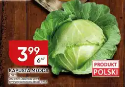 Chata Polska Kapusta młoda Chata Polska oferta