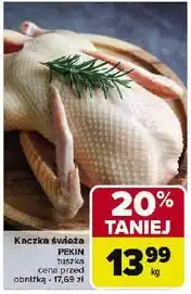 Carrefour Kaczka pekin oferta