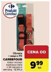 Carrefour Obroża + smycz Carrefour oferta