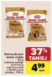 Carrefour Karma dla psa shih tzu Royal Canin oferta