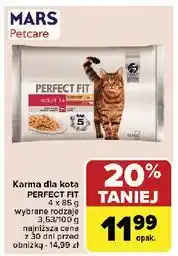 Carrefour Karma dla kota adult 1+ Perfect Fit oferta